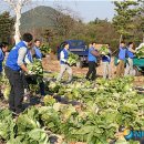 김동훈 농장 이미지