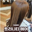 의정부 미용실 트리니티 헤어 미스티 베이지 염색 후기
