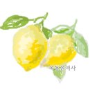 도성공인중개사사무소 이미지