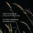 대양인쇄소 - 봉화군 | 칼릴 지브란( Kahlil Gibran)의 생애와 예술