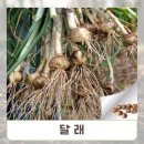 티티산업
