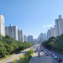 신나무실육교 이미지