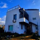 바오밥나무 민박 이미지