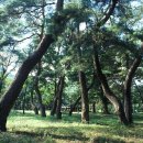 거창-거창-1 이미지