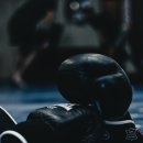 앨바트로 복싱 이미지