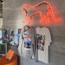 부티앤피지크 이미지