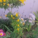 주제광장 이미지