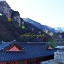 삼화사 Daum카페