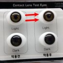 자몽 안경원 이미지