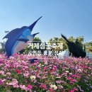 섬꽃공원 | 거제가볼만한곳 섬꽃축제 가수 공연, 입장료, 주차장, 셔틀버스 여행 정보