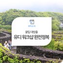유디펜션 | 제주 2박3일 워크샵 후기! (+제주유디펜션)