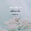 은혜예복 이미지