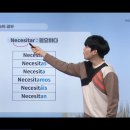 비비(Vive)