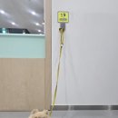 체육문화센터순환1 이미지