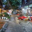 비치조아 이미지