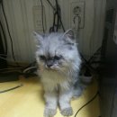 양정1동-27 이미지