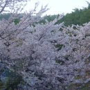 돌산초등학교 이미지