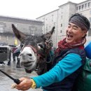 이효석 메밀 꽃 필 무렵, 세르반테스 Don Quixote