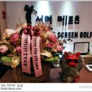 서면레포츠 티스토리