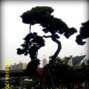 축구장 옆 이미지