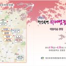 천안북면위례벚꽃축제 이미지