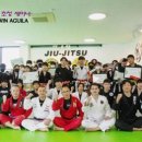 퍼팩트주짓수 이미지