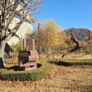 지혜의쉼터작은도서관 | 파주 지혜의 숲, 책 향기 가득한 마음의 쉼터