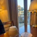 서울언북초등학교 | 서울 청담 테라스 카페 트리아농 분위기 좋은 차 맛집