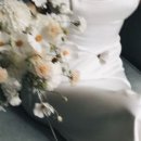 제이에스홀리데이