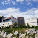 뷰무인텔 이미지