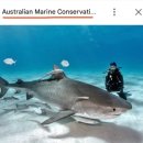 1200 | 콘드로이친1200 효능 및 섭취방법 후기