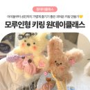 [성인][원데이클래스] 귀여운 모루 키링 만들기 | 진주 모루인형 공방 원데이클래스 9세 인형 키링 만들기 체험
