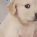 월은 | [예탈출] #115 제로월드 홍대점 - <ALIVE(얼라이브)>/ 이래야 내가 살아