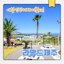뷰 | 제주 애월 신상 오션뷰 카페 ‘라망드제주’ 후기