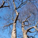 천반산길 이미지