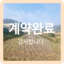 옥천랜드공인중개사사무소 이미지