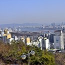 응봉공원1 이미지