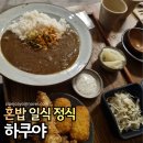 오늘은 카레 미사점 | 미사역 맛집 하쿠야 혼밥 추천 일식 카레, 냉모밀 후기
