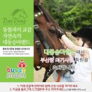 랜드부산
