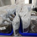 신도바다역 이미지