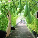 결성면 원천마을회관 이미지