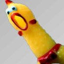 개랑나랑 이미지