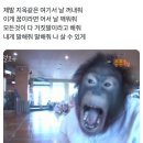 (주)상건 | 10대 최후방선 🤓