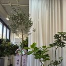 시원농원 | 대구화분배달 신암동꽃집 제주농원 방문후기