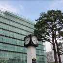 관악구정신건강복지센터 이미지