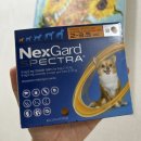 희망온누리약국 이미지