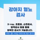 두남자동물병원 네이버블로그