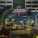 「크리스마스트리, 문화행사」 찾아가는 음악회 이미지