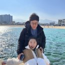 속초홍어