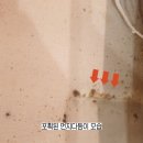 제일특수방역 네이버블로그